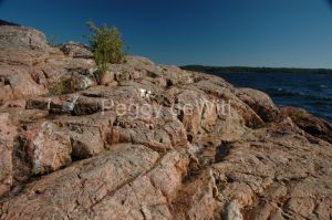 Parry-Sound-Granite-Rock-1246.JPG