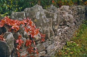 Fence-Rock-from-book-3678