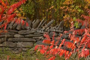 Fence-Stone-Red-Fall-3194.JPG