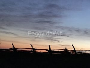 Fence-Sunset-3680.JPG