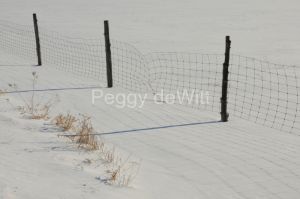 Fence-Wire-Winter-2377.JPG