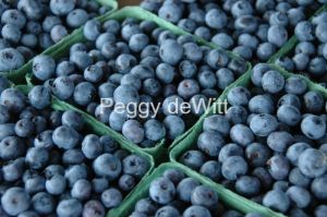 Food-Blueberries-Fruit-Waupoos-2536.JPG