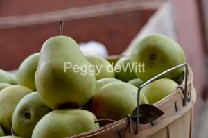Food-Pears-Fall-3250.jpg