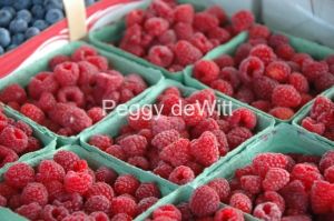 Food Raspberries Waupoos #2540