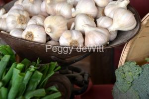 Food Vegetable Stand Garlic #3251