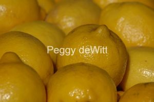 Lemons-1057.jpg
