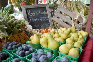 Vegetable Stand Pears #3438
