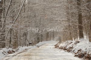 Lane Road Storms Winter #3326