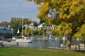 Picton Harbour Fall #3306