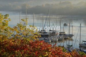 Picton-Harbour-Misty-Fall-3309.jpg