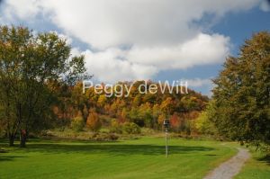 Picton Macaulay Mountain Path Fall #2591