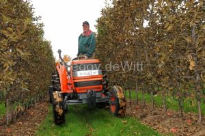 Tractor Apple Orchard Farmer #2698