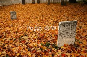Cemetery-Fall-746.JPG