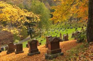 Cemetery-Glenwood-Fall-3085.JPG
