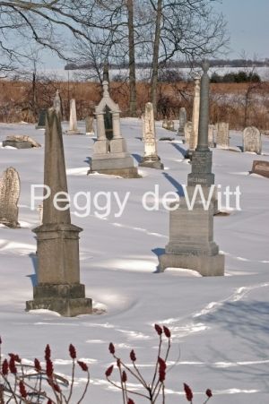 Cemetery-South-Bay-Winter698.jpg