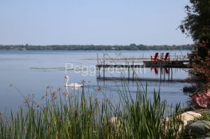 East-Lake-Dock-Swan-3675.jpg