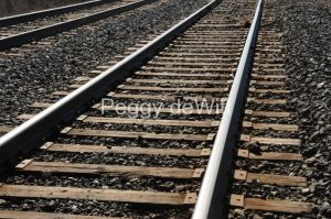 Brighton Train Tracks #2356
