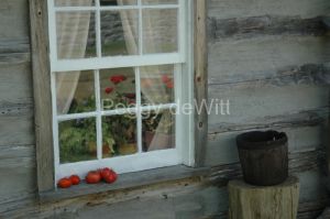 Ameliasburg-Window-1044-1.JPG
