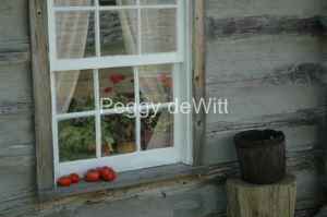 Ameliasburg-Window-1044.JPG