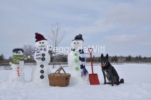 Snowmen-Lily3844