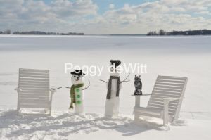 Snowmen-Waupoos-Owl-3410.JPG