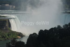 Niagara-Falls-Trees-2236.JPG