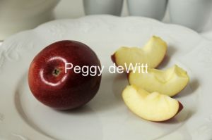 Apple on Plate #1681