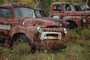 Truck Old Brown #1950
