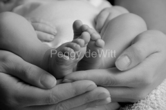 Baby-Feet-Moms-Hands-BW-2603