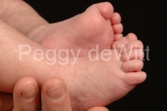 Baby-Feet-v-1616