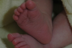 Baby Feet (v) #1077