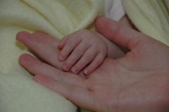 Baby Hands #1078