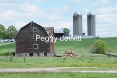 Barn-Campbellford-2343