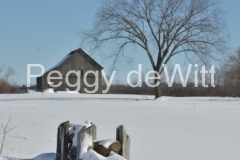 Barn-Elm-Tree-Winter-v-3068