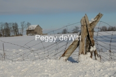 Barn-Fence-Winter-2767