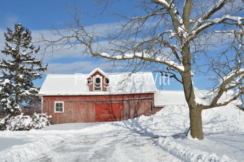 Barn Shed Bloomfield Winter #3079
