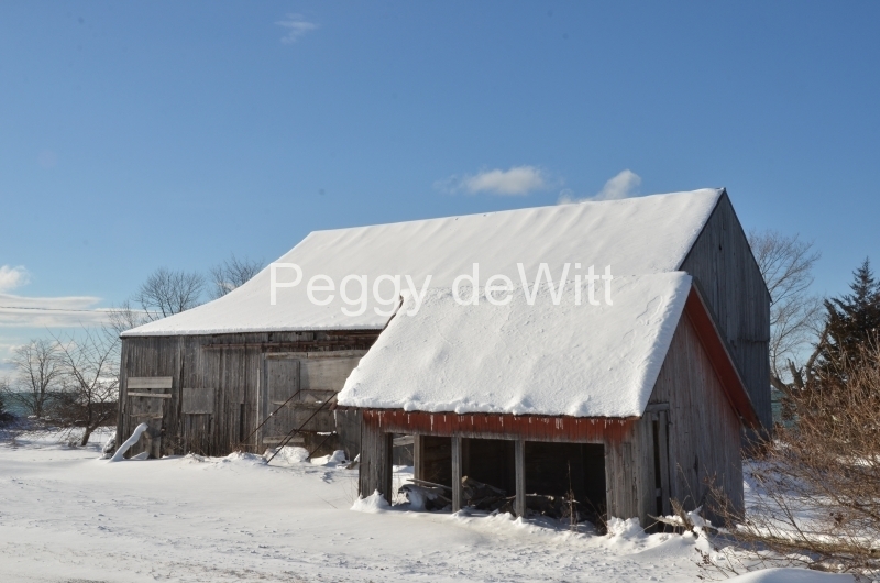 Barn Shed Salmon Pt Winter #3078