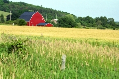 Barn Brighton Red #2853 8x12