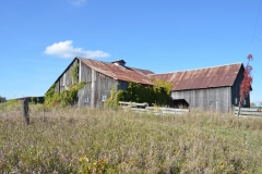 Barn Green Pt Fall #2909