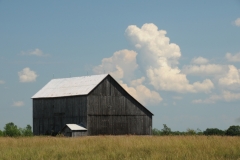 Barn Lonsdale #1685