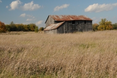 Barn Milford Area #2346