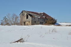 Barn Milford Winter 2014 #3071