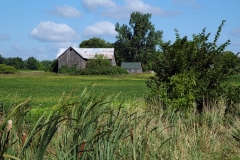 Barn Near Picton #761