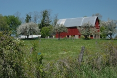 Barn Red Cooper Spring #1146