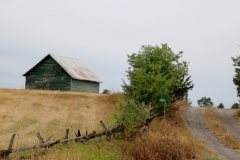 Barn Shed Ameliasburgh #3403