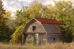 Barn Shed Old Napanee #1750