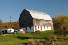 Barn Stirling #2458