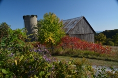 Barn Waupoos Fall 2014 #3081