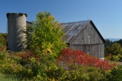 Barn Waupoos Fall (v) #3080