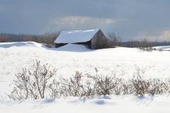 Barn Wellers Bay Winter #3082